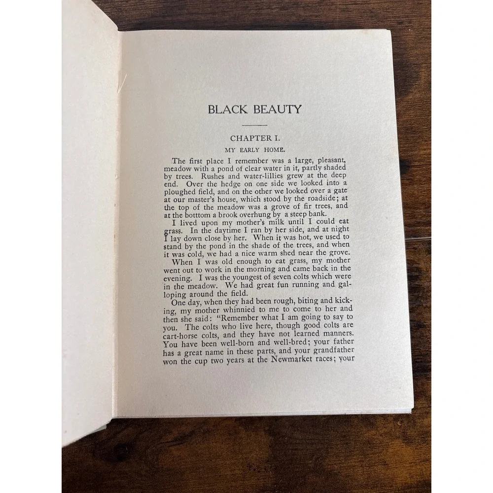 Black Beauty Anna Sewell Antique Barse & Hopkins Pleasant Hour Series